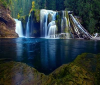 Descargar fondo de pantalla forest falls, paisaje, naturaleza