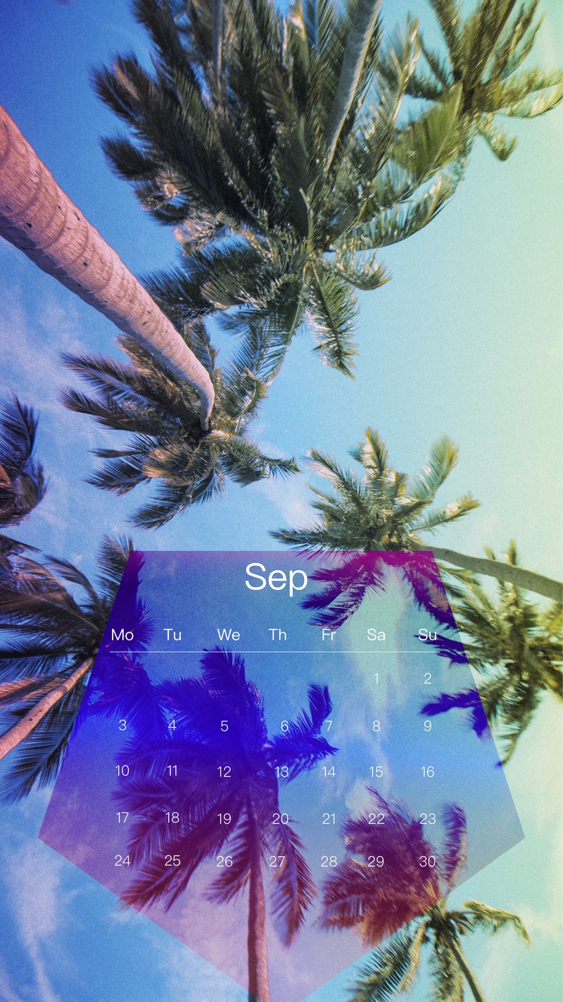Изображение календаря с пальмами и голубым небом (кал, cal, календарь, сентябрь, цалсеп18)