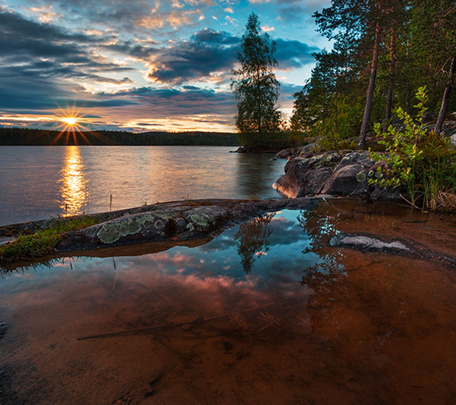 There is a large body of water with a tree in the background (sea, shore)