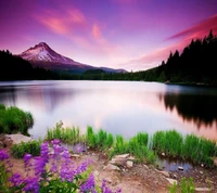 Lago sereno com flores silvestres vibrantes e montanha majestosa ao pôr do sol