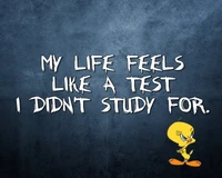 My Life Feels Like a Test I Didn't Study For