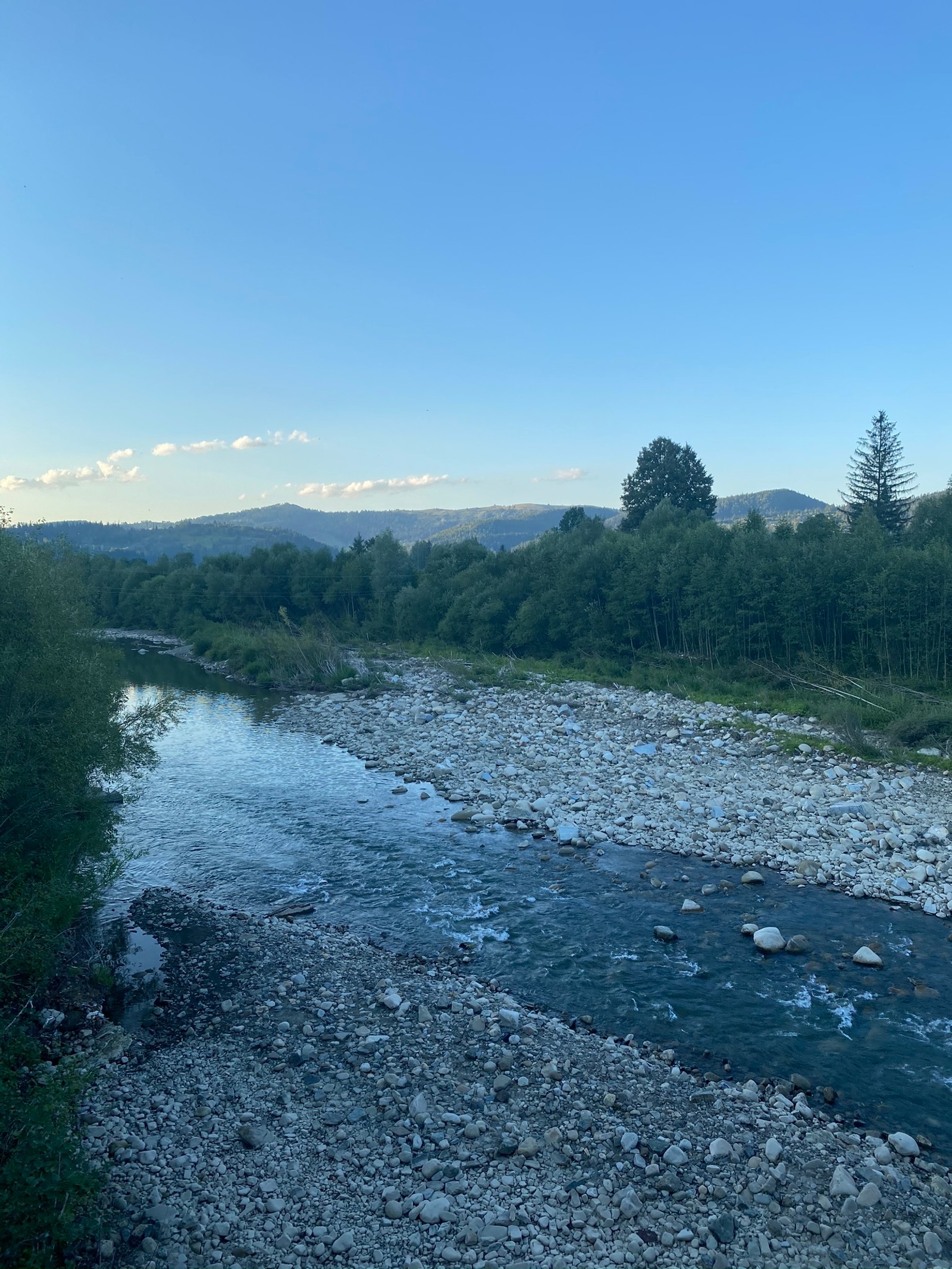 Река, протекающая через лес, заполненный камнями (водные ресурсы, водоем, природа, природная среда, природный пейзаж)