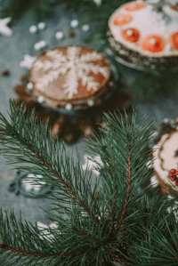 arbre, branche, noël, sapin, plante ligneuse