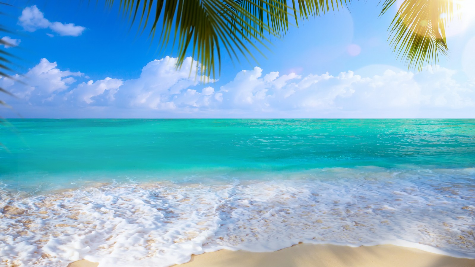 Eine strandlandschaft mit palmen und dem ozean (küste, strand, meer, ozean, gewässer)