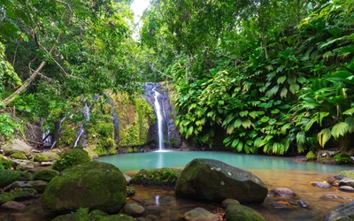 Cachoeira tropical serena cercada por vegetação exuberante de floresta tropical