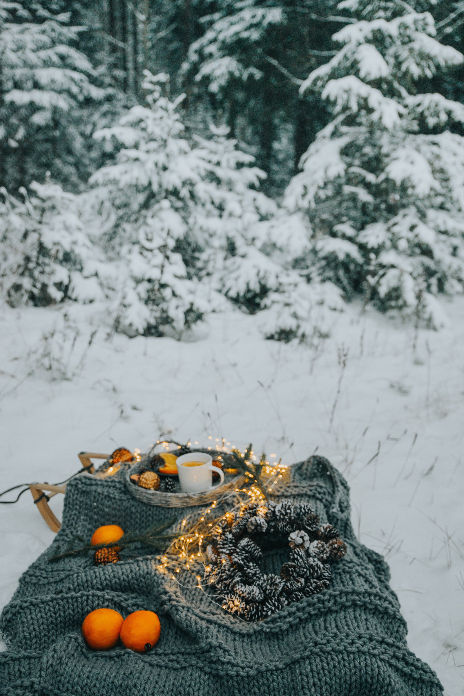 Il y a une couverture avec des oranges et une tasse de café dessus (crochet, tricot, hiver, arbre, neige)