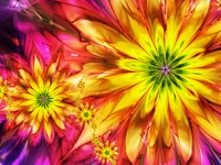 flower, fractal art, yellow, petal, wildflower wallpaper