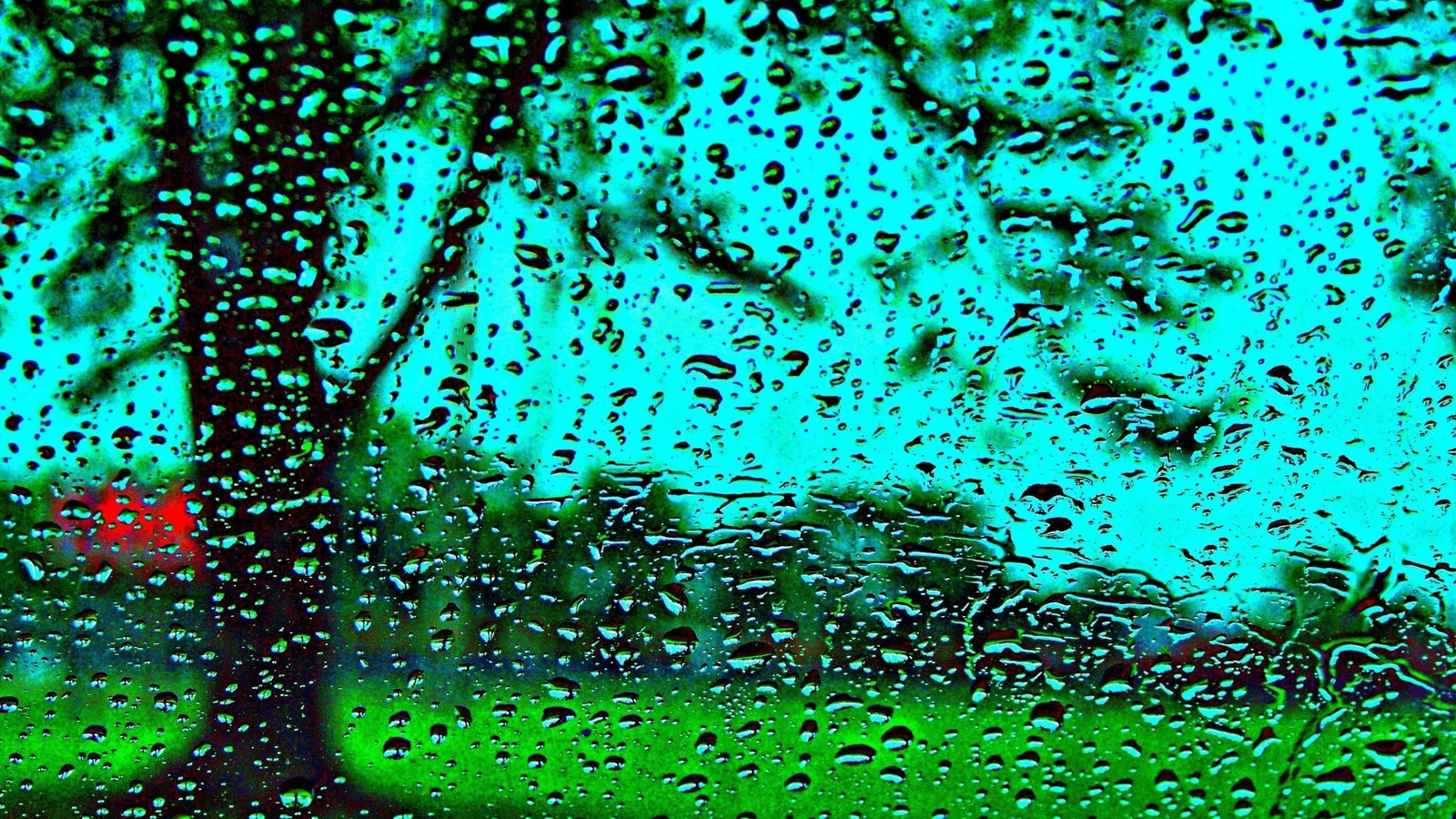 Un primer plano de una ventana cubierta de lluvia con un árbol de fondo (bioma, agua, verde, azul celeste, aqua)