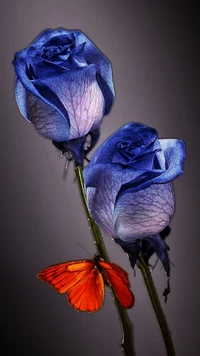 Roses bleues vibrantes avec un papillon orange frappant