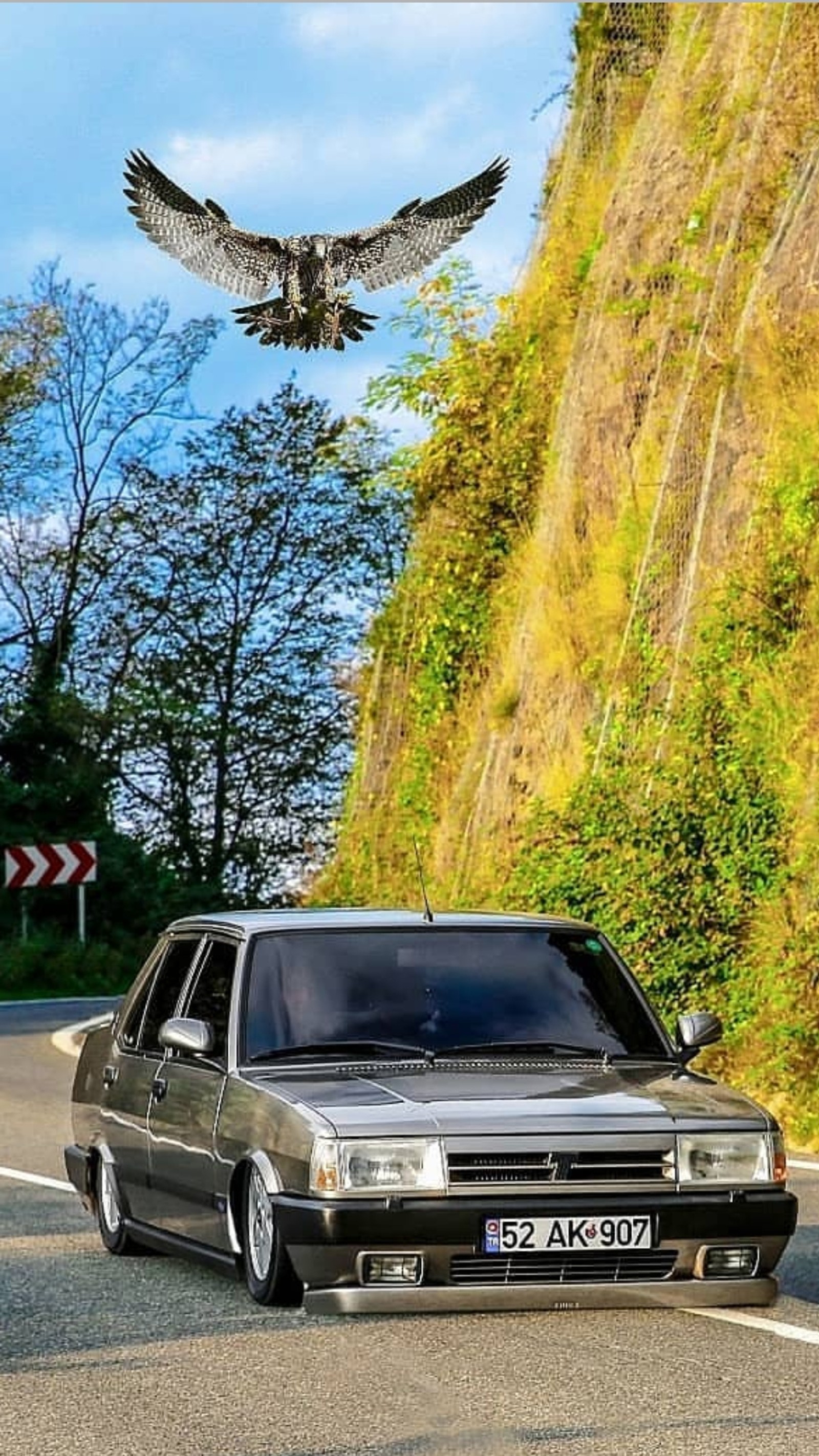 Il y a un oiseau volant au-dessus d'une voiture sur la route (tofaş, tofas, dogan, sahin, araba)