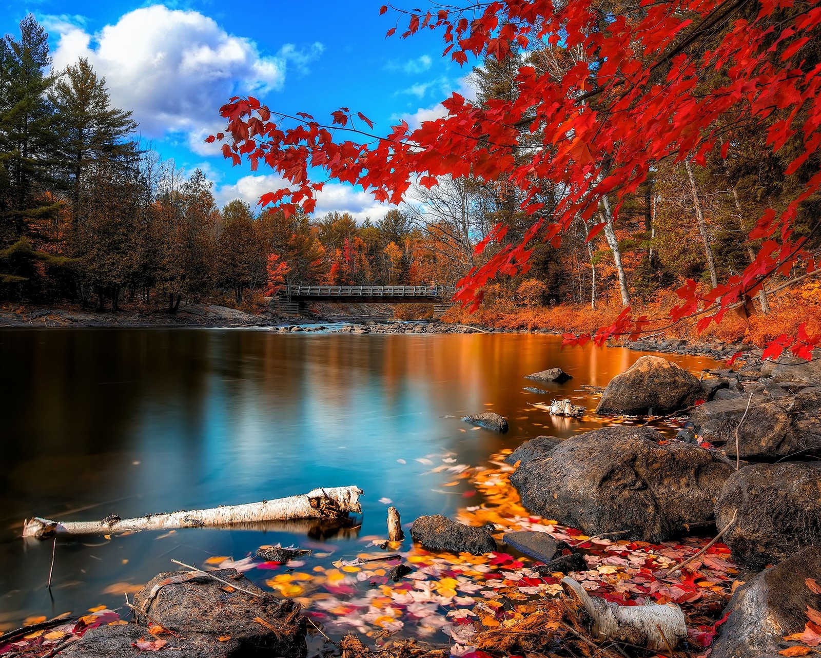 lake, red leaves, trees, wood wallpaper