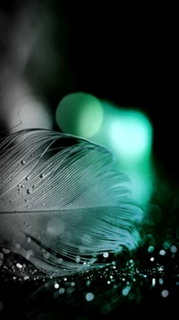 Sparkling Feather on a Glimmering Surface