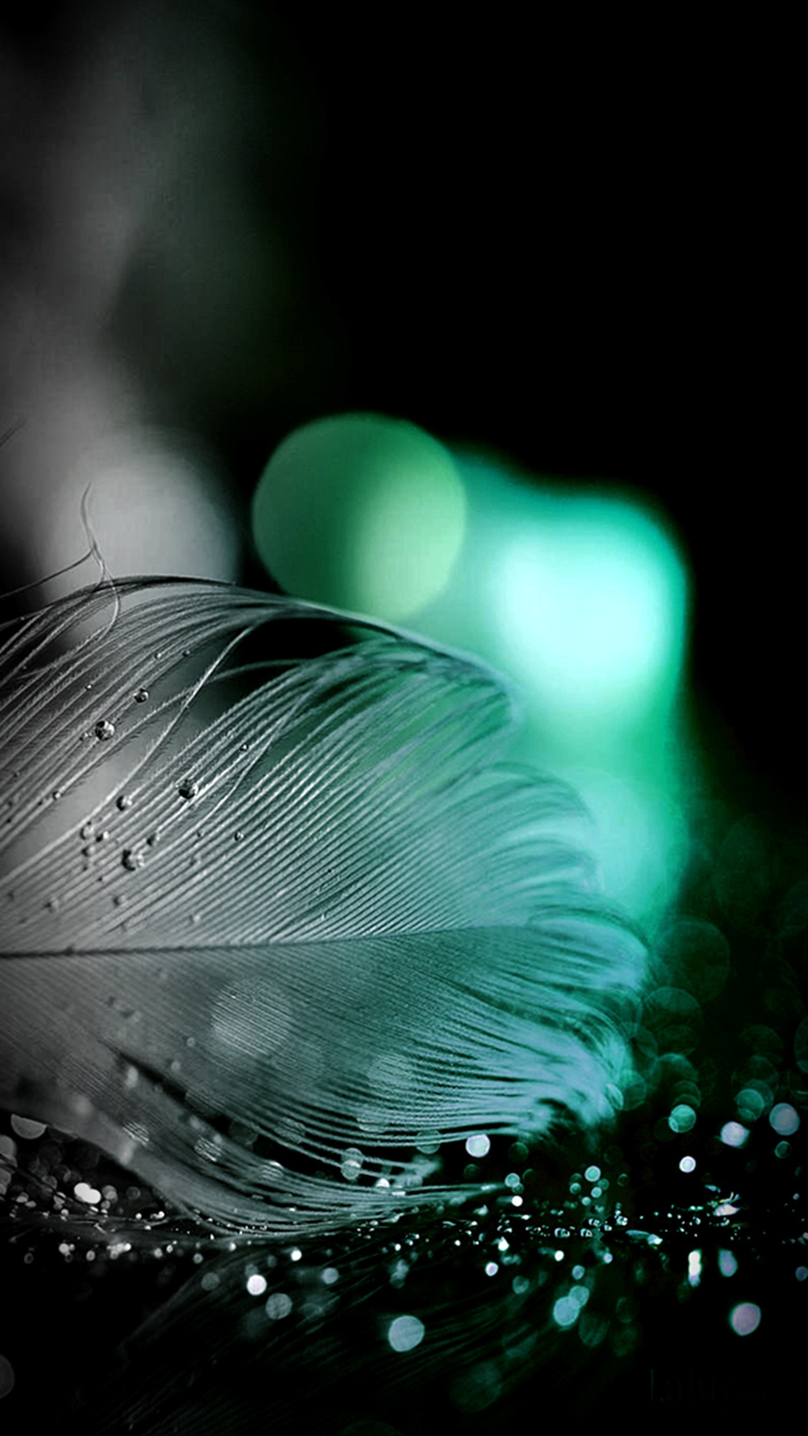 Una imagen editada de una pluma con gotas de agua sobre una mesa (pluma, espumoso)