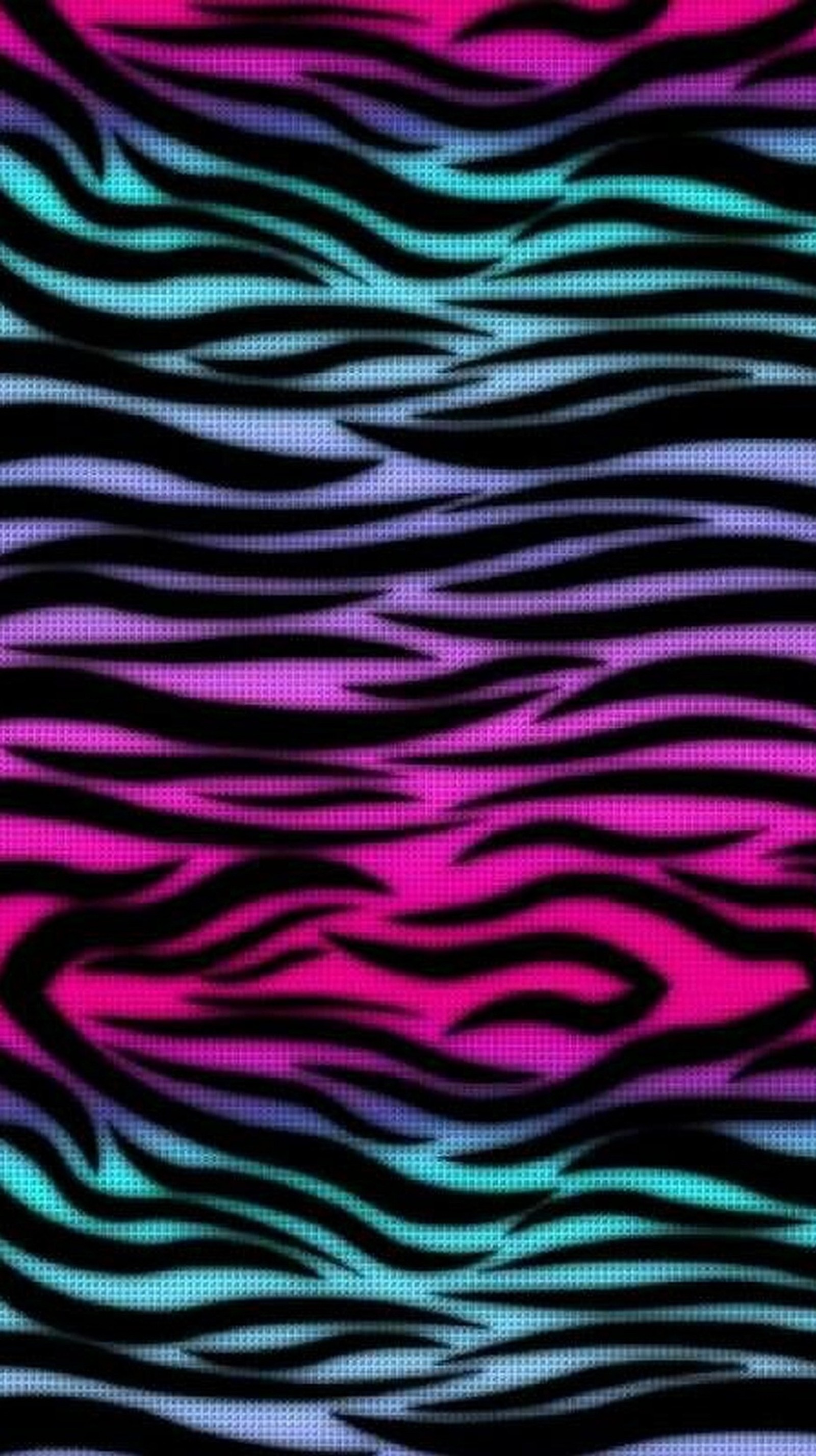 A zebra print fabric with a pink and blue stripe (wild, zebra)