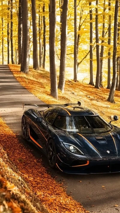 Agera en automne : vitesse à travers les feuilles dorées