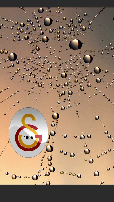 Galatasaray 1905: Unity in Every Drop