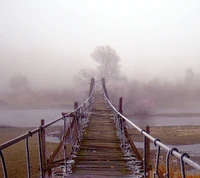 bridge, fog wallpaper