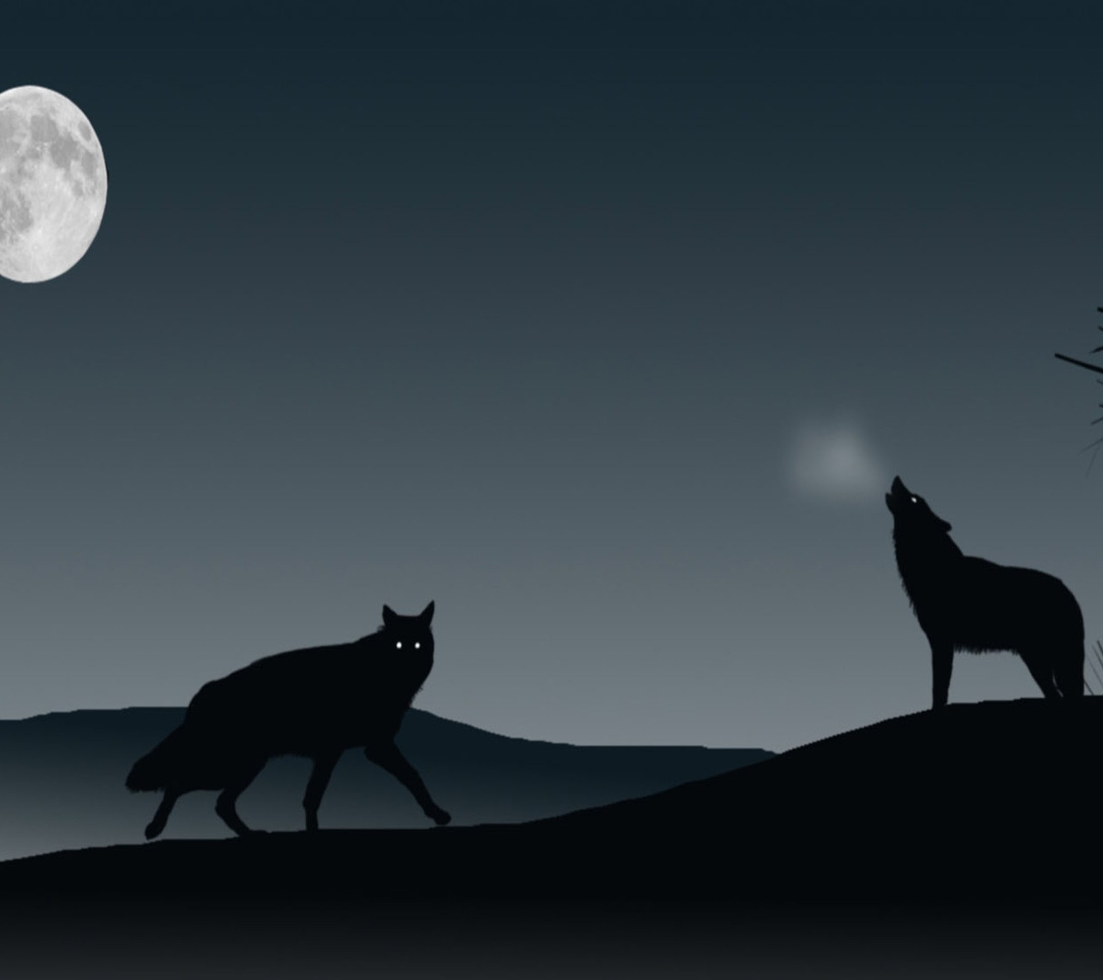 Two wolfs are walking in the moonlight with a full moon in the background (night, wolf)