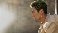 roronoa zoro, one piece, live action, tv series, netflix