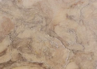 Natural Beige Stone Texture with Geological Patterns