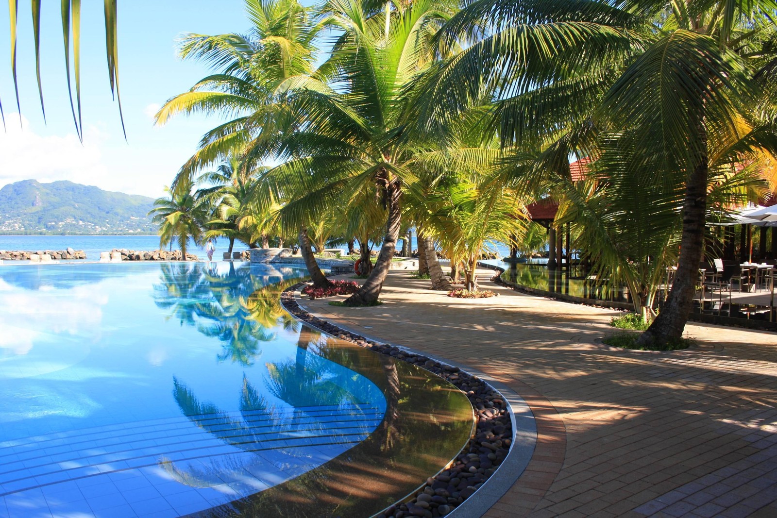 Uma vista de uma piscina com palmeiras e uma praia ao fundo (piscina, estância, palmeira, férias, trópicos)