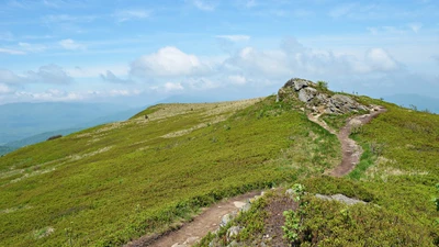 Sendero sereno de alta montaña a través de exuberantes praderas montañosas