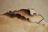 Burnt Edge of Parchment Scroll Displaying Textured Combustion Effects