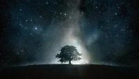 Árbol en silueta contra un cielo estrellado