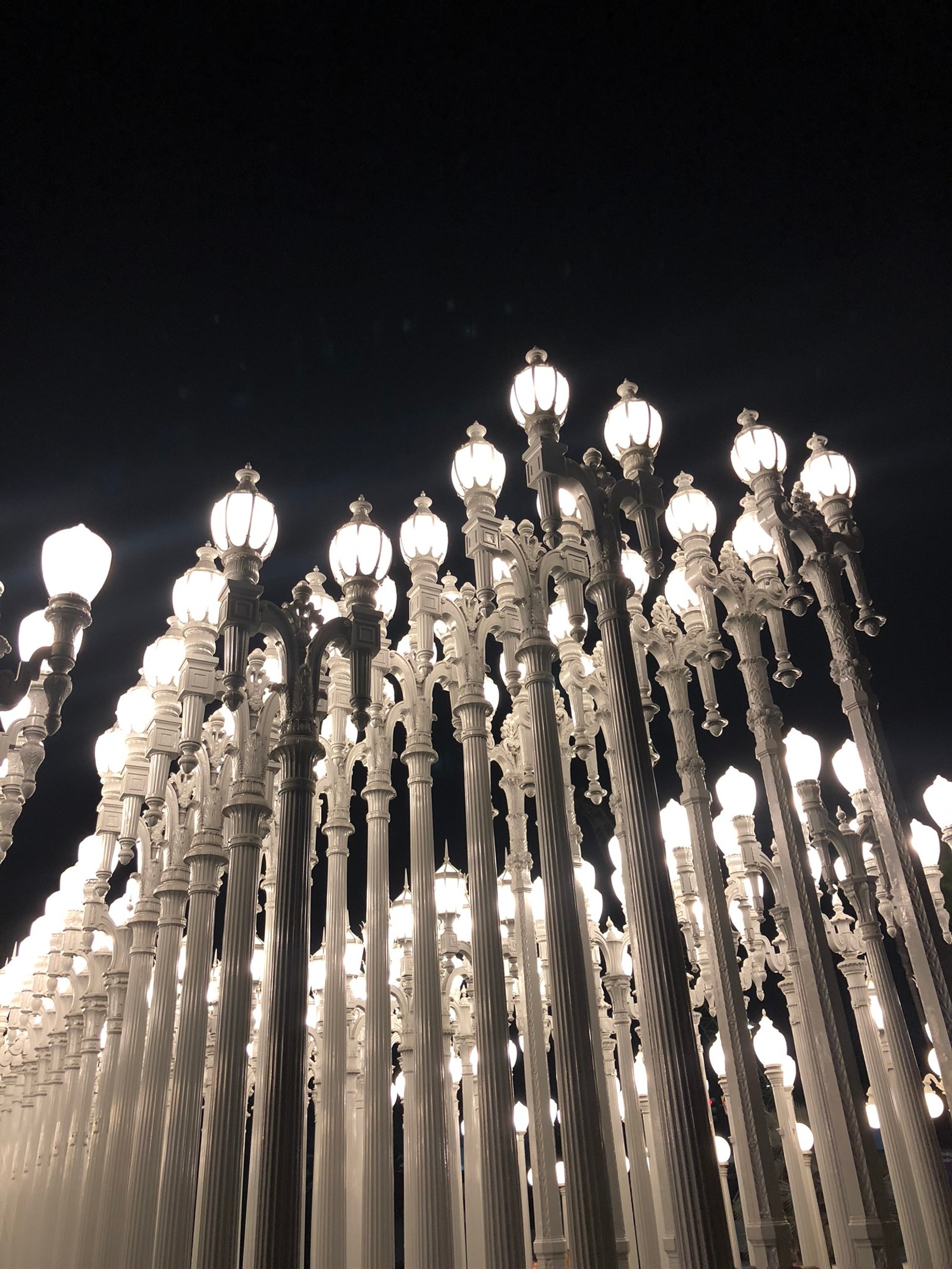 Há muitas luzes de rua acesas na escuridão (luminária, ciência, física, noite, luz)