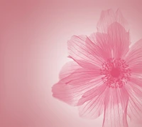 Huawei Enjoy 7 mit einem lebhaften Design in Form einer pinken Blume.