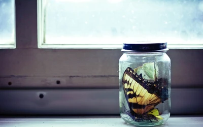 glas, mason jar, wasser