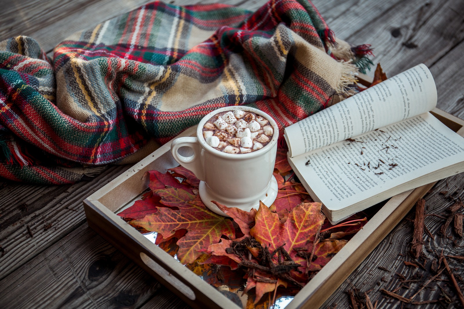 Acercamiento de una taza de chocolate caliente en una bandeja con hojas (libro, otoño, comida, textil, cocina)