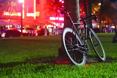 Bicicleta nocturna junto a una palmera en un vibrante entorno urbano