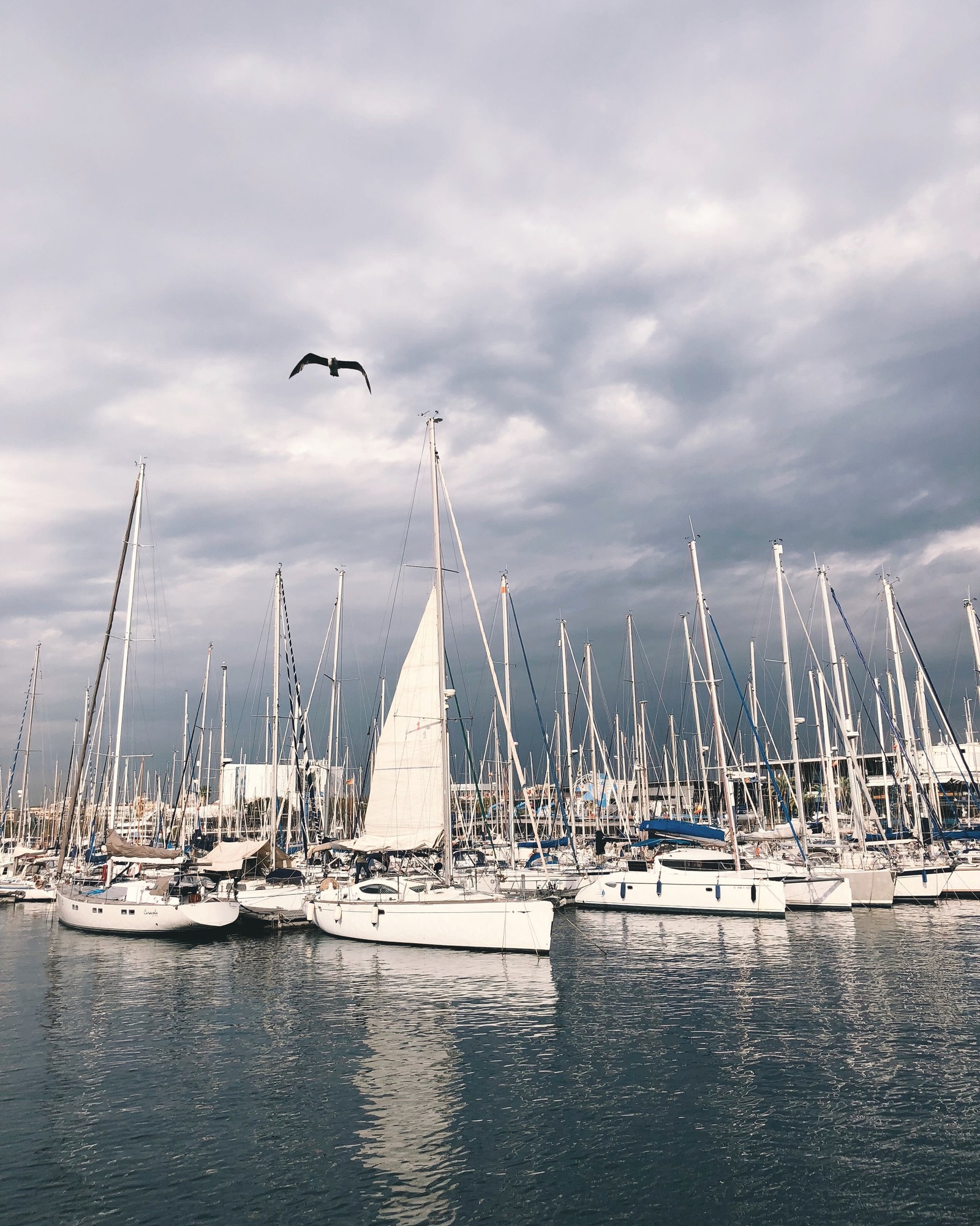 marina, sail, mast, water, boat Download Wallpaper