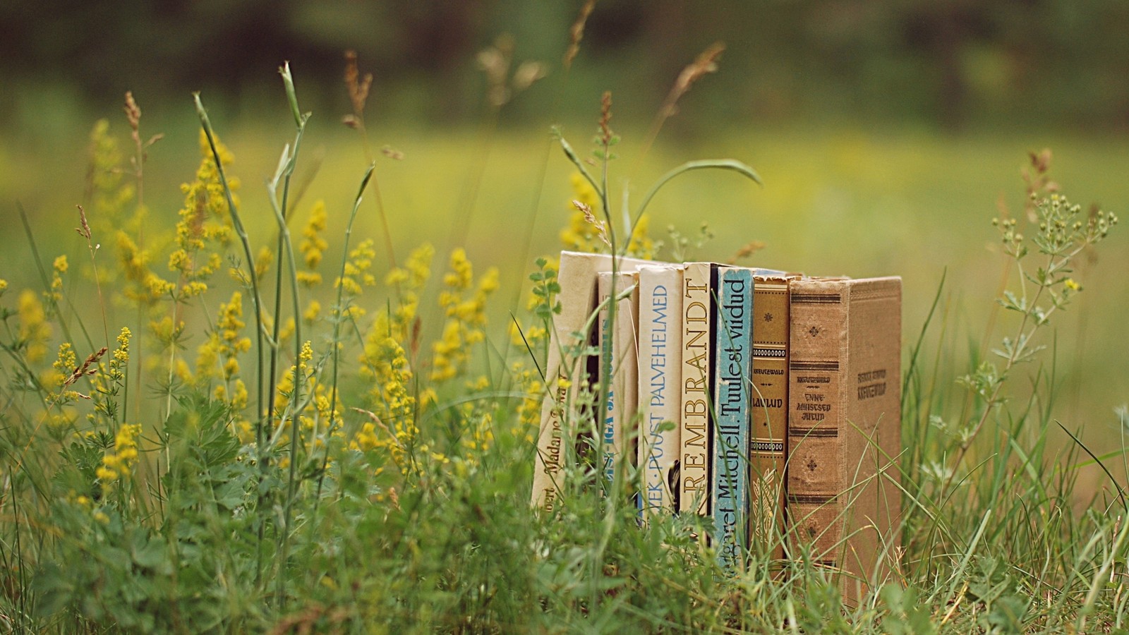 Hay tres libros sentados sobre una caja de libros en la hierba (amarillo, pradera, flor silvestre, autor, primavera)