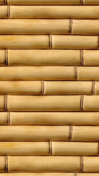 bambu, madeira, textura, árvore, parede