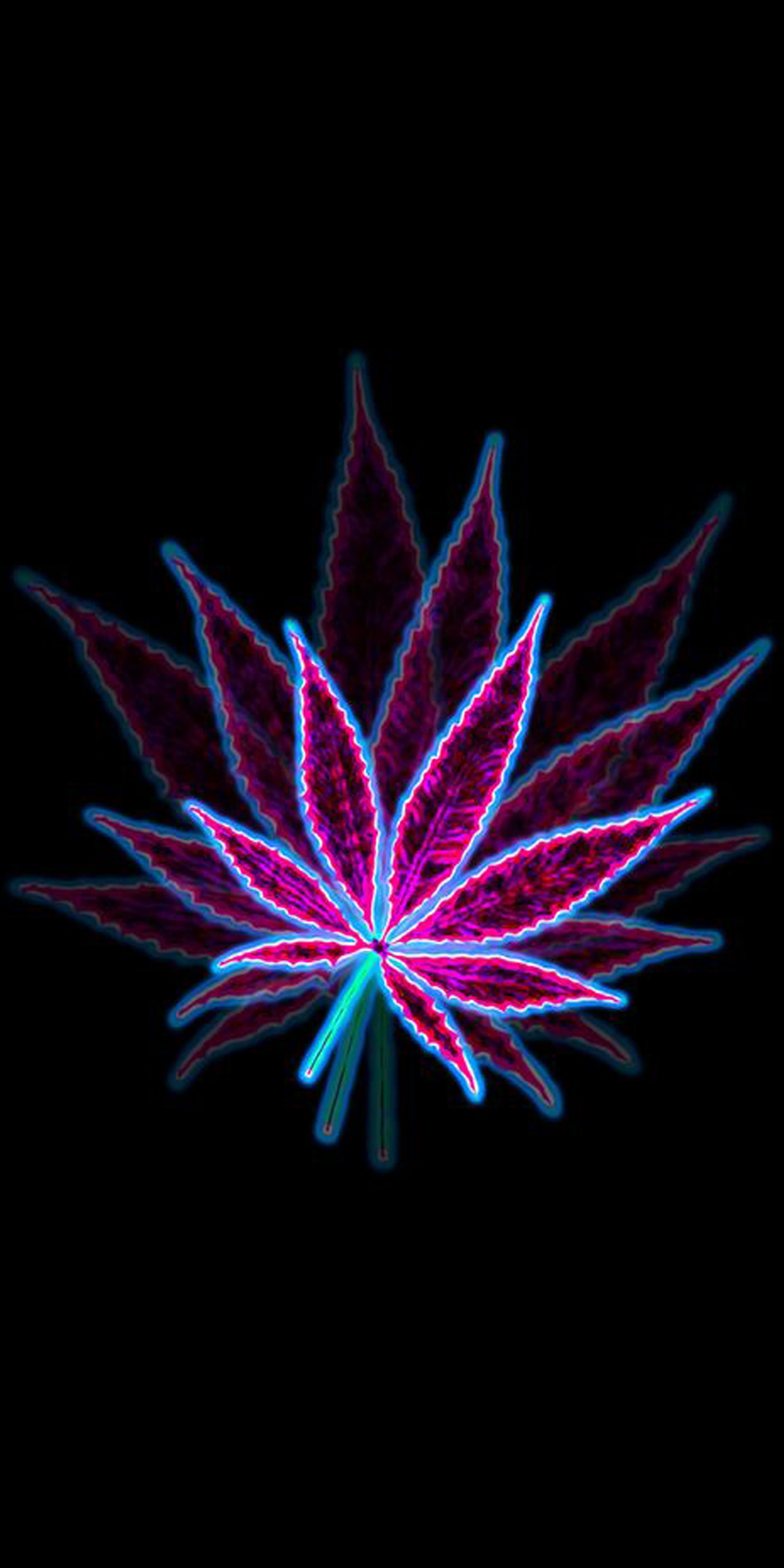 A close up of a leaf with a blue stem on a black background (abstract, black, leaf, purple, smoke)