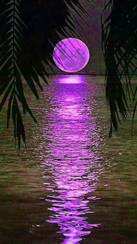 pleine lune, paradis