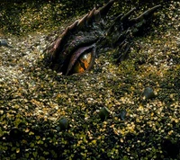 2015, désolation de smaug, desolation of smaug, hobbit, smaug