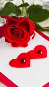 for you, love, red, rose, valentines day