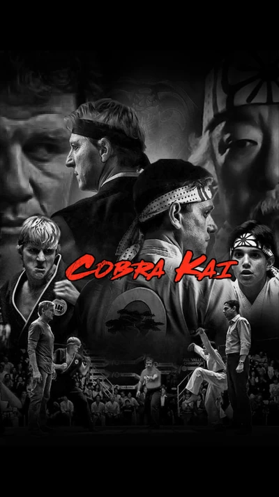 Cobra Kai : L'héritage de la rivalité et de la rédemption