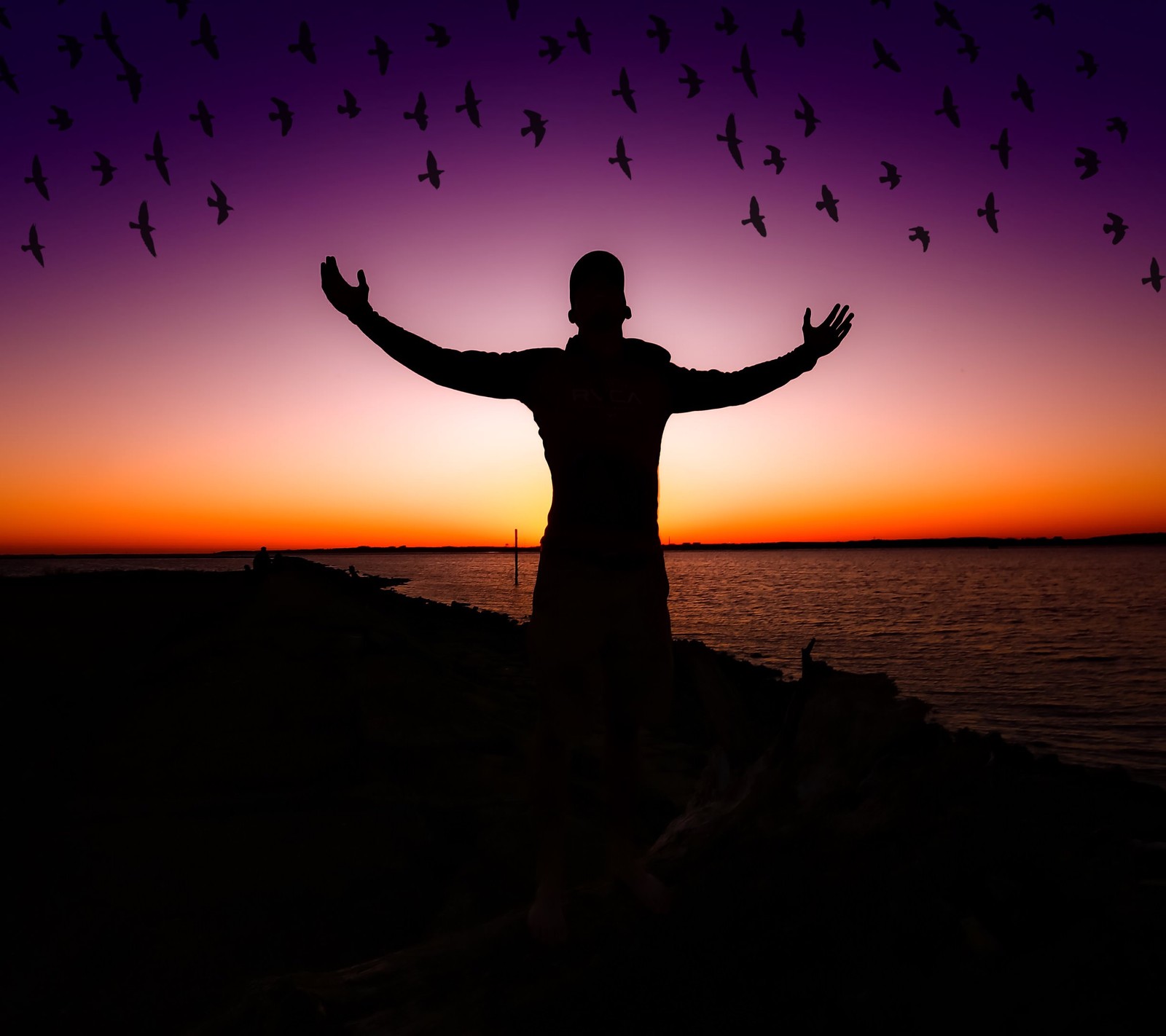 Lade vögel, klick, abend, natürlich Hintergrund herunter