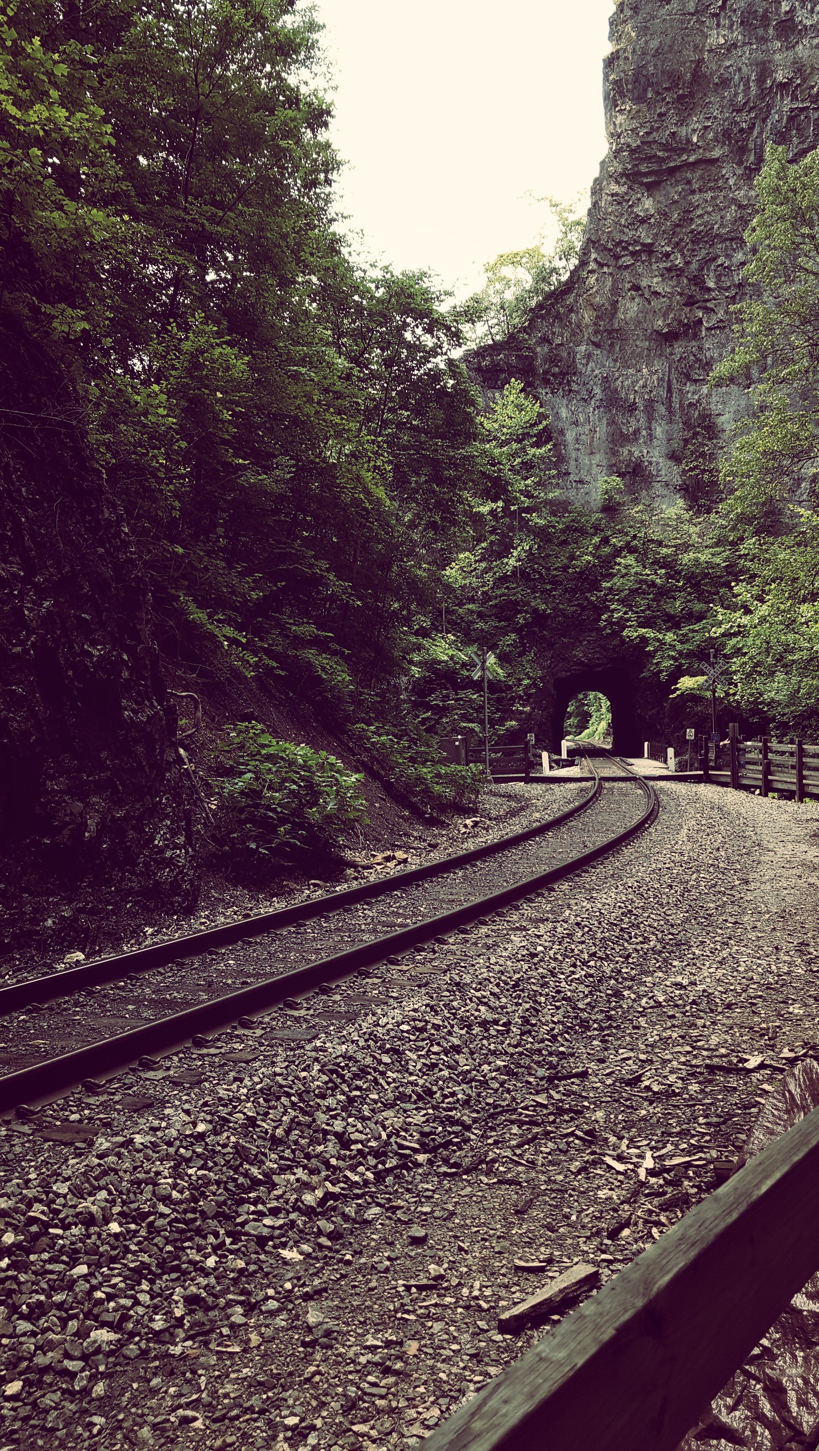 Un train passe dans un tunnel dans les bois (paysage, nature, vieux, chemin de fer, train)