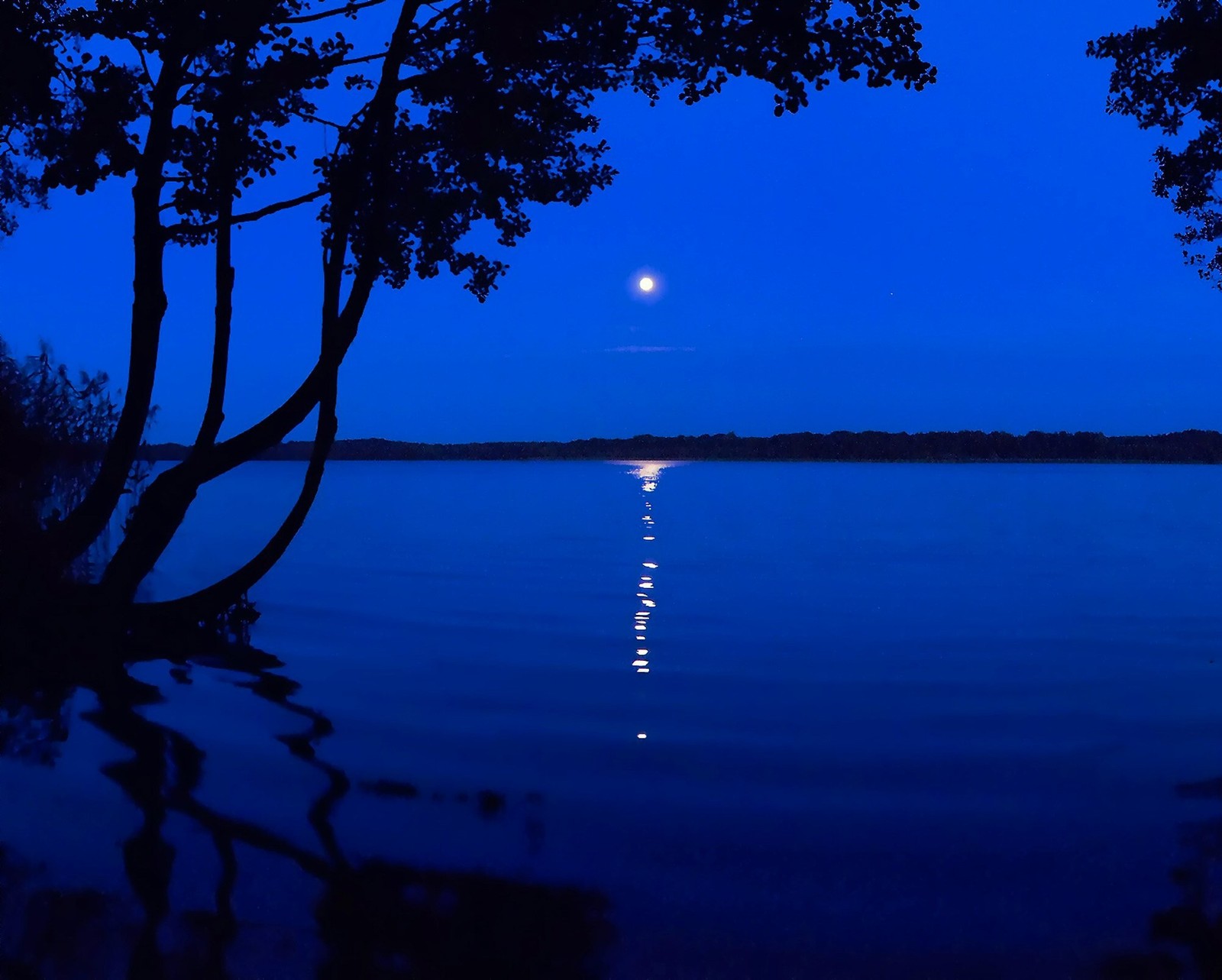 Vue aérienne d'une pleine lune au-dessus d'un lac avec des arbres (nuit bleue, lac, lune, océan, mer)