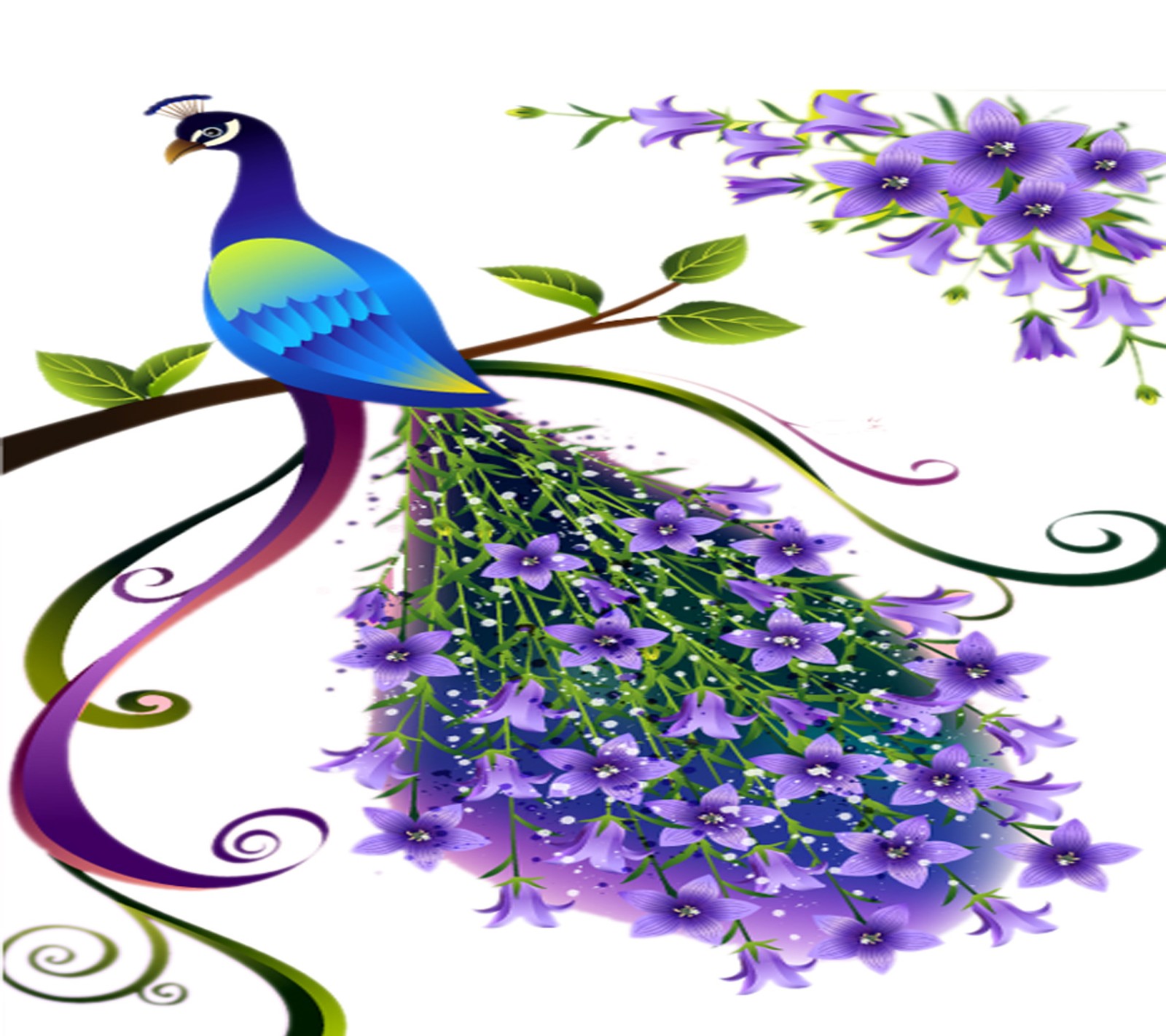 A close up of a bird sitting on a branch with purple flowers (bird, flower)