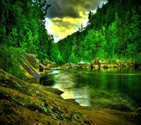 Scène de rivière tranquille entourée de verdure luxuriante