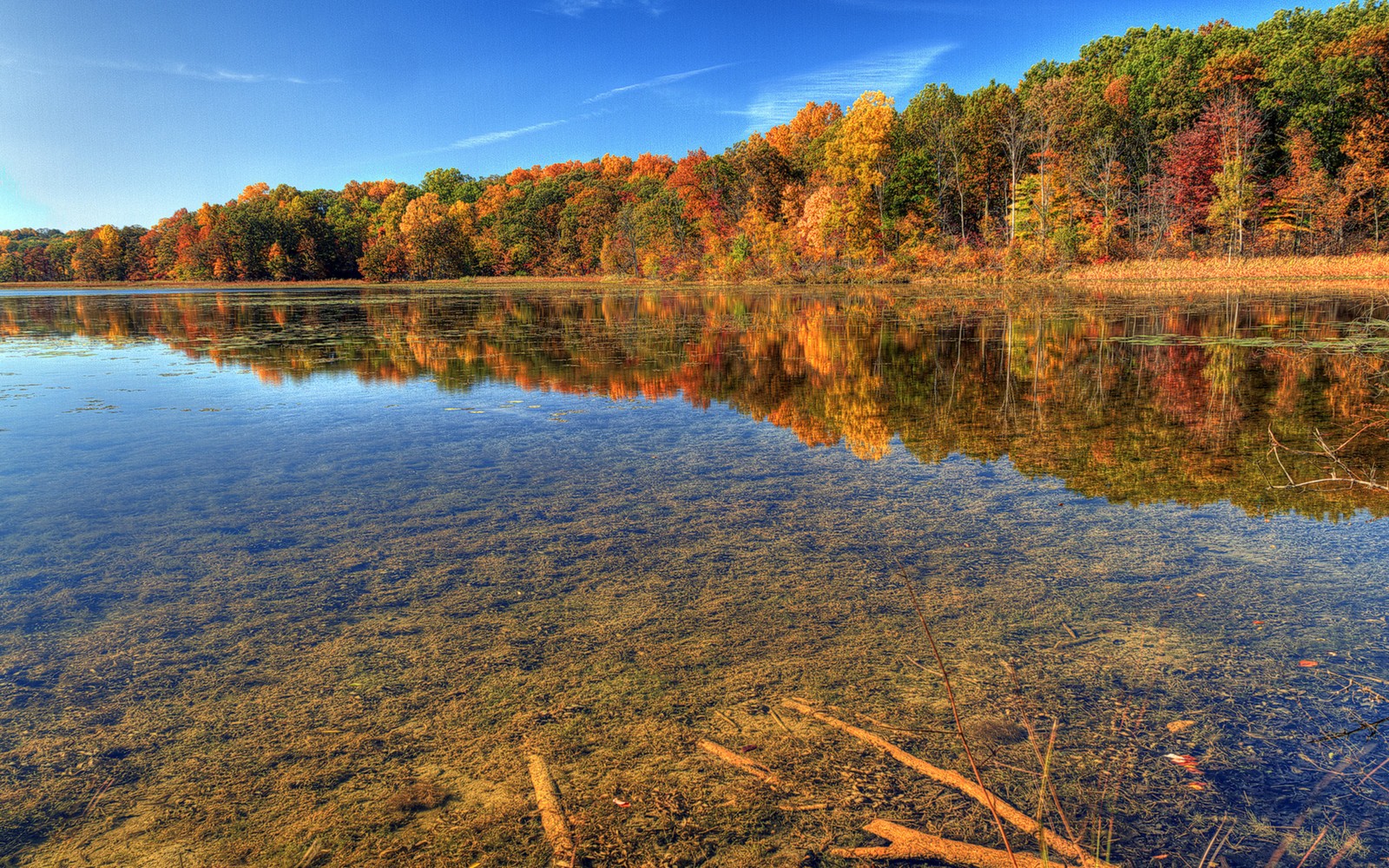 Una vista de un lago con algunos árboles al fondo (otoño, reflexión, naturaleza, agua, hoja)