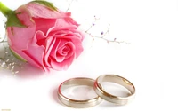 Elegant Wedding Rings Beside a Pink Rose