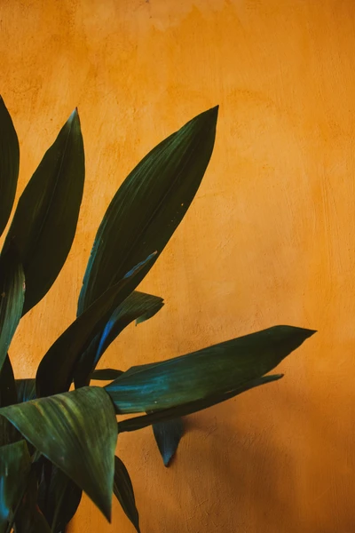 Elegant Green Leaves Against an Amber Background