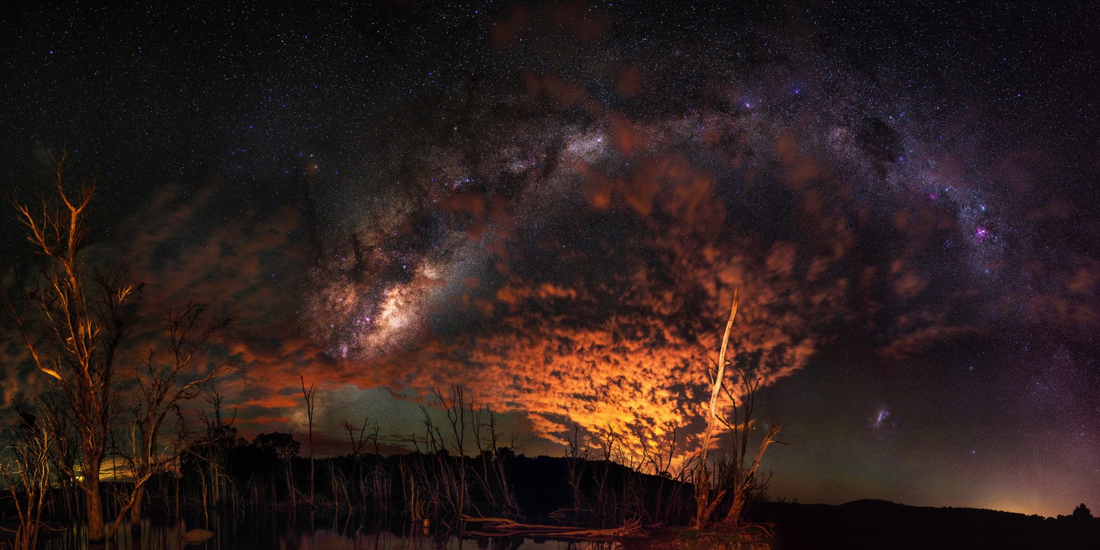 Una vista de un lago con un árbol y un cielo lleno de estrellas (naturaleza, noche, atmósfera, nube, incendio forestal)